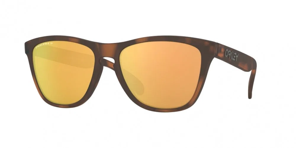 Oakley Frogskins 9013 Sunglasses - Crystal Clear - view 114